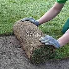 газон устройство, рулонный