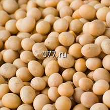 семена сои (соя) сорт Аннушка