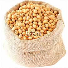 семена сои (соя) сорт  Казачка. Элита.