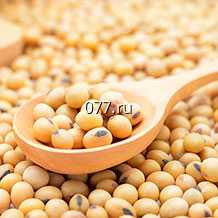 семена сои (соя) сорт Анастасия
