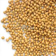 семена сои (соя) сорт Мавка