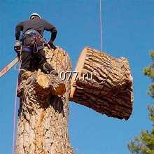 SPILPROF (Спилпроф)