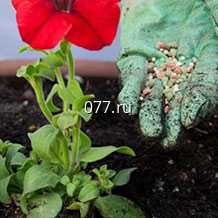 удобрение (витамины, подкормка) минеральное, органическое, стимулятор роста Энерген, Эпин, Циркон, Новосил, Гумат