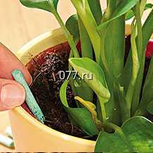 удобрение (витамины, подкормка) минеральное, органическое, стимулятор роста Энерген, Эпин, Циркон, Новосил, Гумат