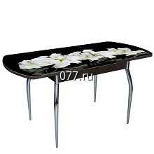 стол обеденный (кухонный)