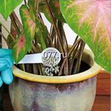 удобрение (витамины, подкормка) органическое (навоз), навалом или в мешках