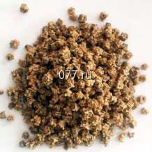 семена свеклы кормовой Красная,  Кольчуга