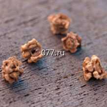 семена свеклы кормовой Эккендорфская, желтая