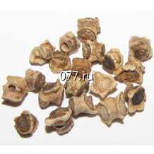 семена свеклы сахарной Красный шар улучшенный