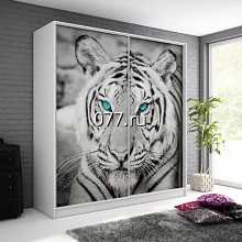 шкаф-купе-изготовление на заказ натуральное дерево, пластмассовый (пластиковый), МДФ, рамочного МДФ, плетеный (ротанг), ламинат