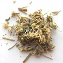 семена травы лекарственной