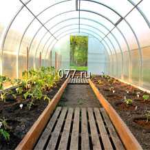 теплица Дачная 2ДУМ 4х3х2м