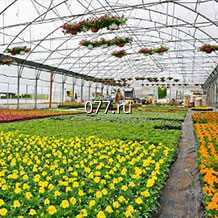 теплица Люкс 4м х 3м х 2м, оцинковкованная.