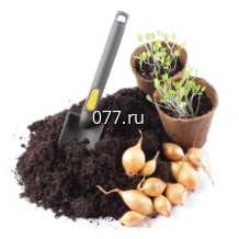 торф (грунт) для рассады