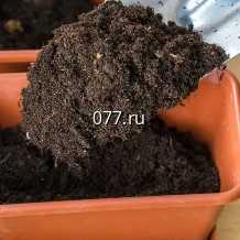 торф (грунт) питательный Буйские удобрения