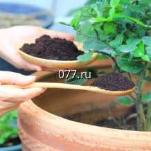 торф (грунт) Огородник