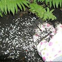 удобрение (витамины, подкормка) для аквариумных растений