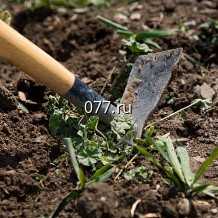 тяпка Трупер (TRUPER), 137 см