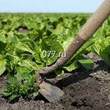 тяпка садовая 9 см, Гардена (GARDENA)