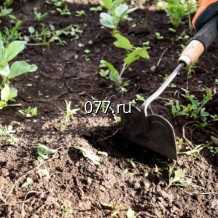 тяпка Форсаж, радиусная, лезвие 23 см