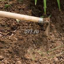 тяпка садовая Трупер (TRUPER), 137 см