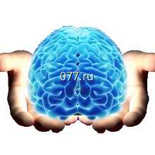 оценка интеллектуальной собственности