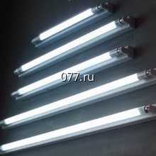 лампа люминесцентная (дневного света)