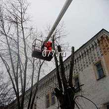 дерево-спиливание (удаление, вырубка деревьев) с автовышки