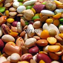 семена зернобобовых культур (растений)