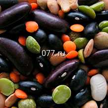 семена зернобобовых культур (растений) озимая пшеница Скипетр и Безенчукская