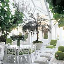 зимний сад-обустройство (оформление)