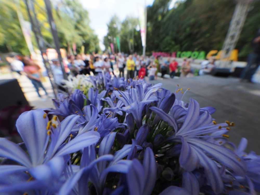 В Воронеже в 2022 году фестиваль «Город-сад» пройдёт 3 сентября 