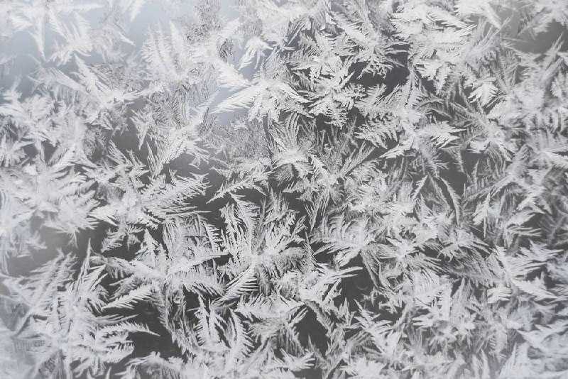 В Воронеже первая рабочая неделя начнётся с 20-ти градусного мороза 