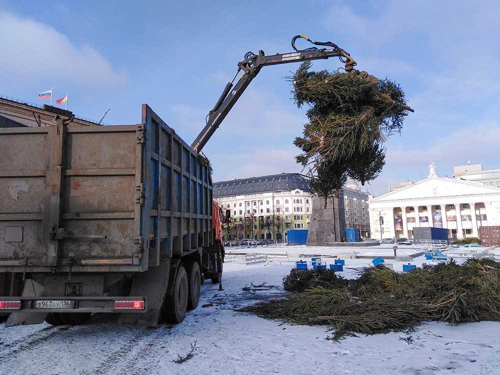 В Воронеже елки с площади Ленина превратили в щепки