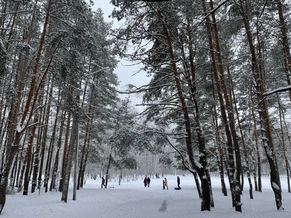 Последняя неделя зимы в Воронеже будет снежной 