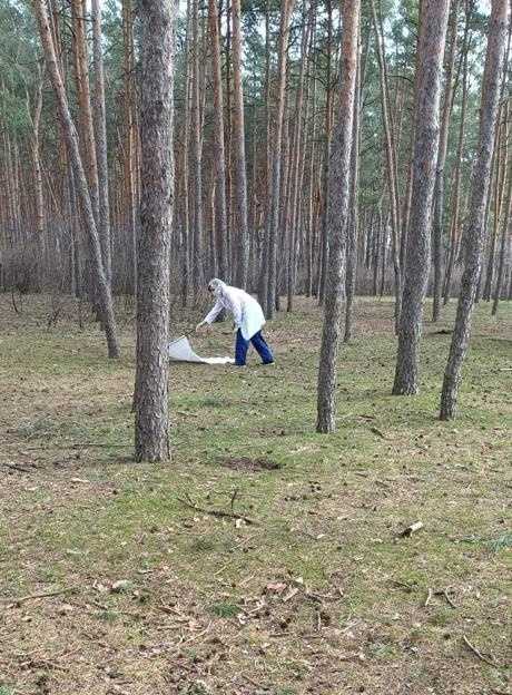 Воронежские парки проверят на наличие комаров и клещей 
