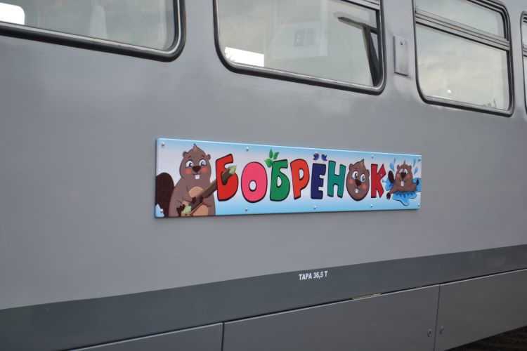 Поезд «Бобренок» будет курсировать из Воронежа не только по выходным 