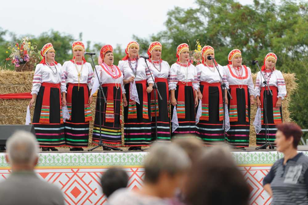 В Воронежской области прошел фестиваль «Русь песенная, Русь мастеровая»