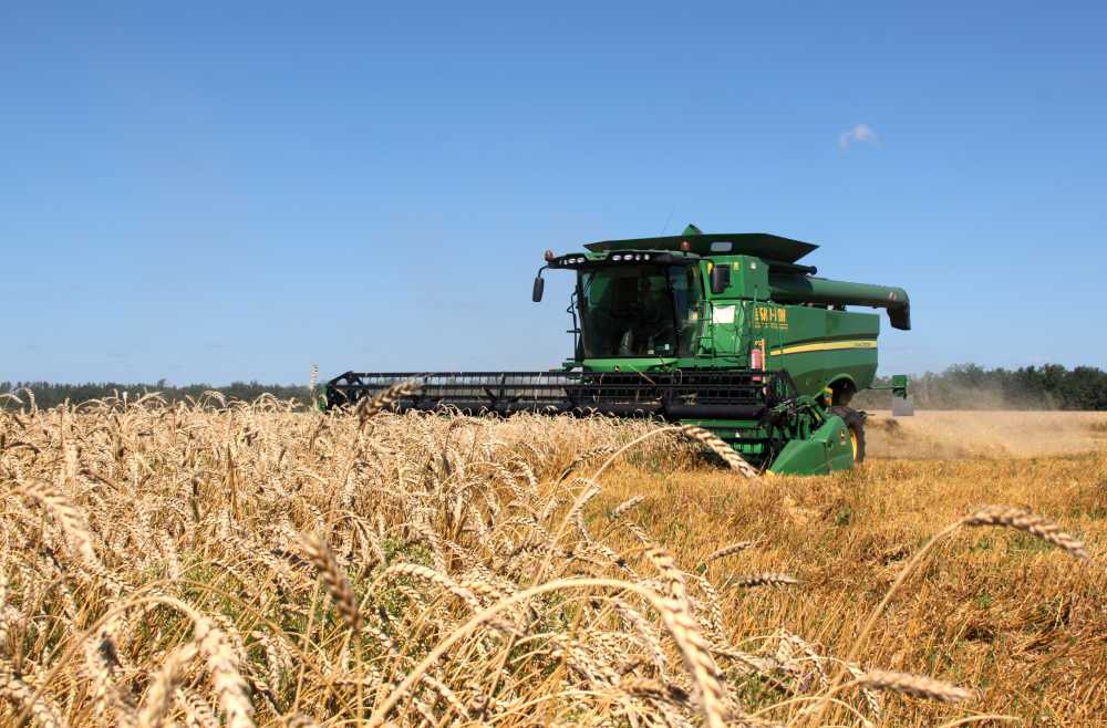 Воронежские аграрии собрали 3 млн. тонн зерна 