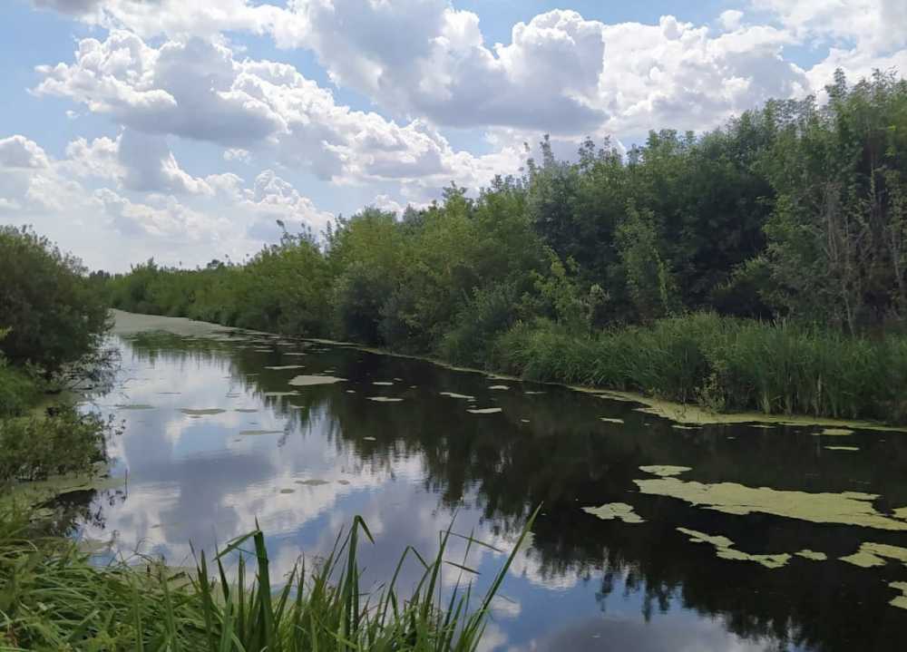 В Воронежской области обмелели реки 