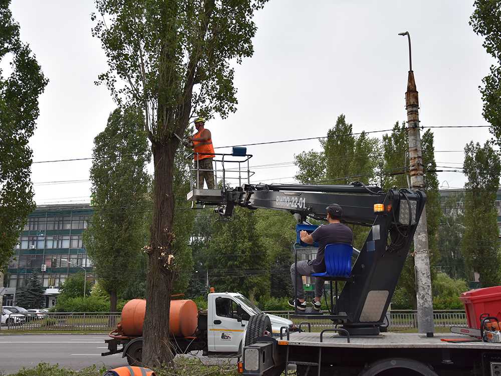 В городе Воронеж продолжаются работы по озеленению и улучшению территорий