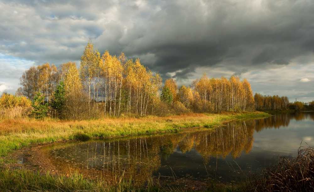 Новая неделя принесет в Воронеж дожди и похолодание