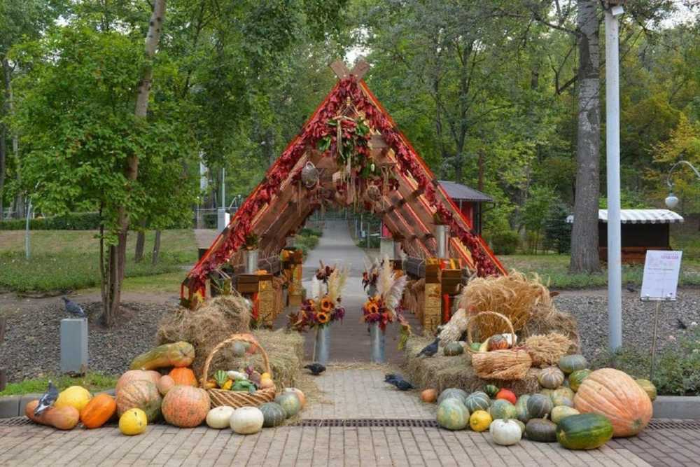 В Воронеже стартовала подготовка к XIV Международному фестивалю «Город-сад», который пройдет в Центральном парке