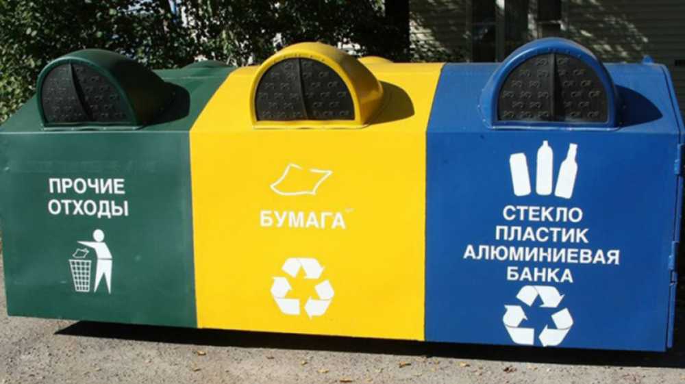 Раздельный сбор мусора внедрят во всех районах Воронежской области 