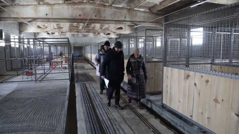 В Воронеже начал работу частный приют для собак на 500 животных