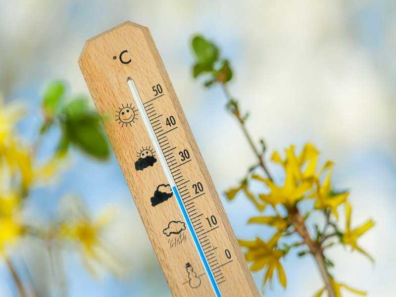 В конце рабочей недели в Воронеже потеплеет до + 29 