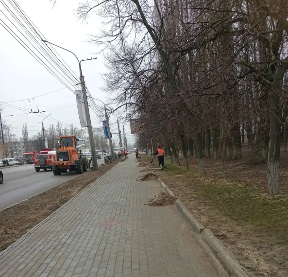 Месячник по благоустройству начался в городе Воронеже