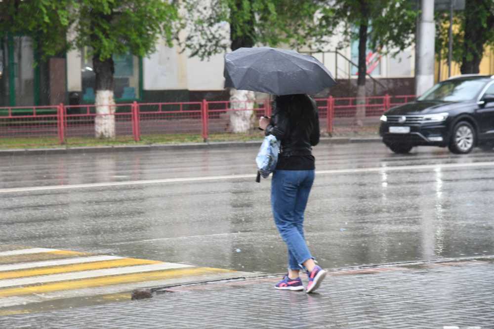 На рабочей неделе в Воронеже ожидаются дожди и грозы