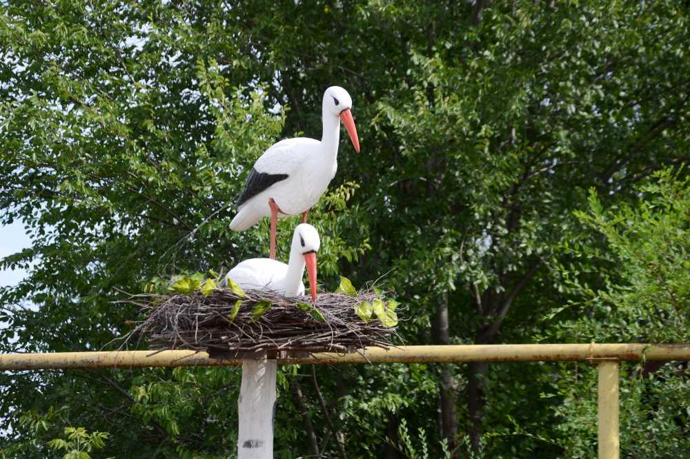 Объявлены финалисты конкурса «Самое красивое село Воронежской области»