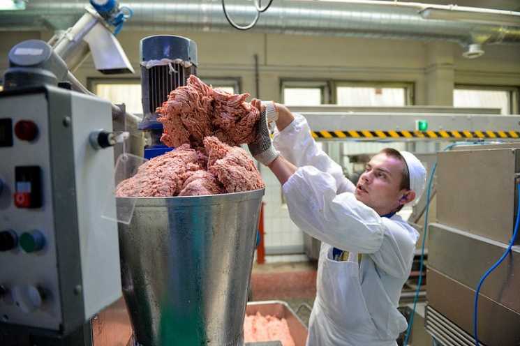ГК «Агроэко» строит один крупнейших мясоперерабатывающих заводов